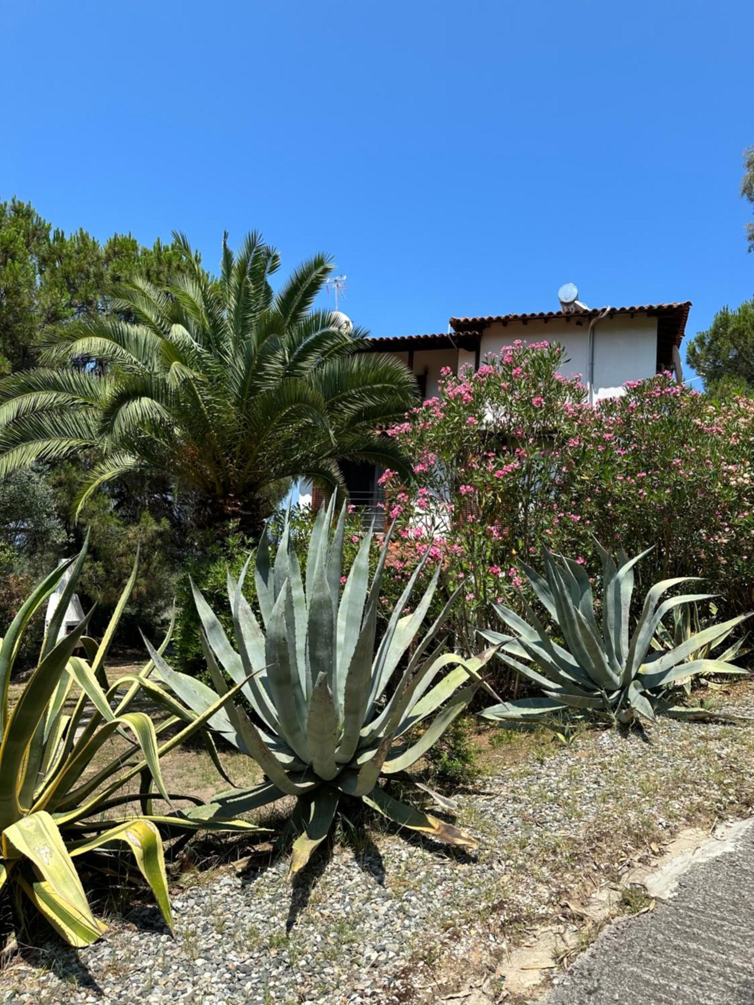 Villa Rena Vourvourou Exterior photo